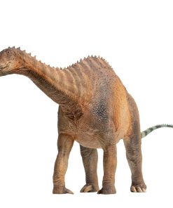 Modelos de dinosaurios prehistóricos de PNSO (63 Chuanchuan