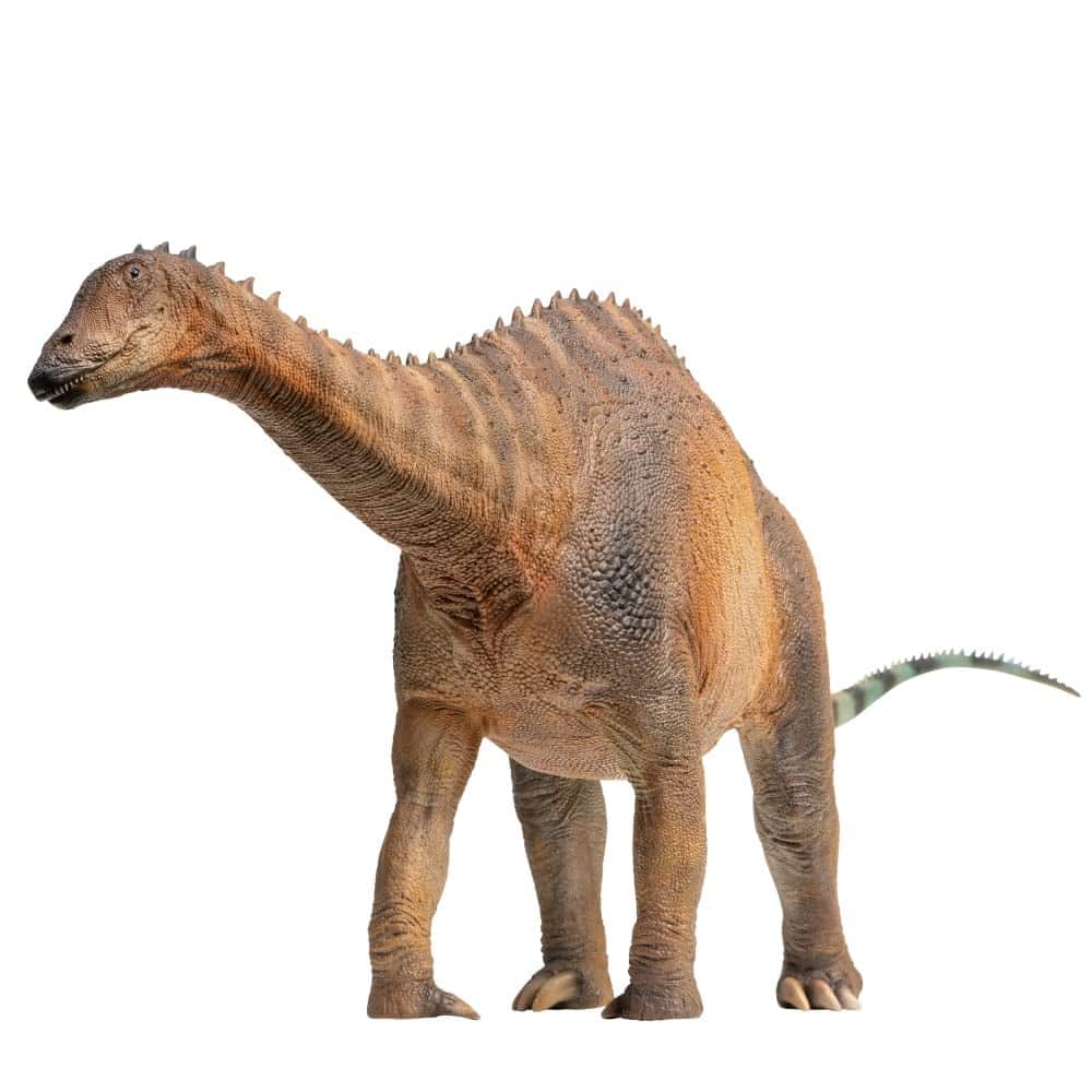 Modelos de dinosaurios prehistóricos de PNSO (63 Chuanchuan