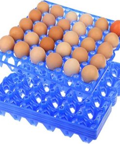 6 Pack Bandejas de Plástico para Huevos, Cada Una Contiene