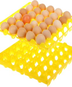 6 Pack Bandejas de Plástico para Huevos, Cada una Sostiene