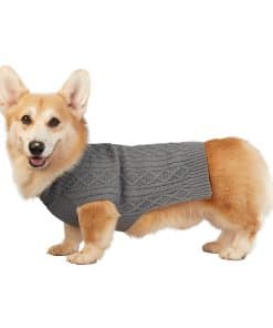 Sudadera de cuello alto Best Furry Friends para perros,