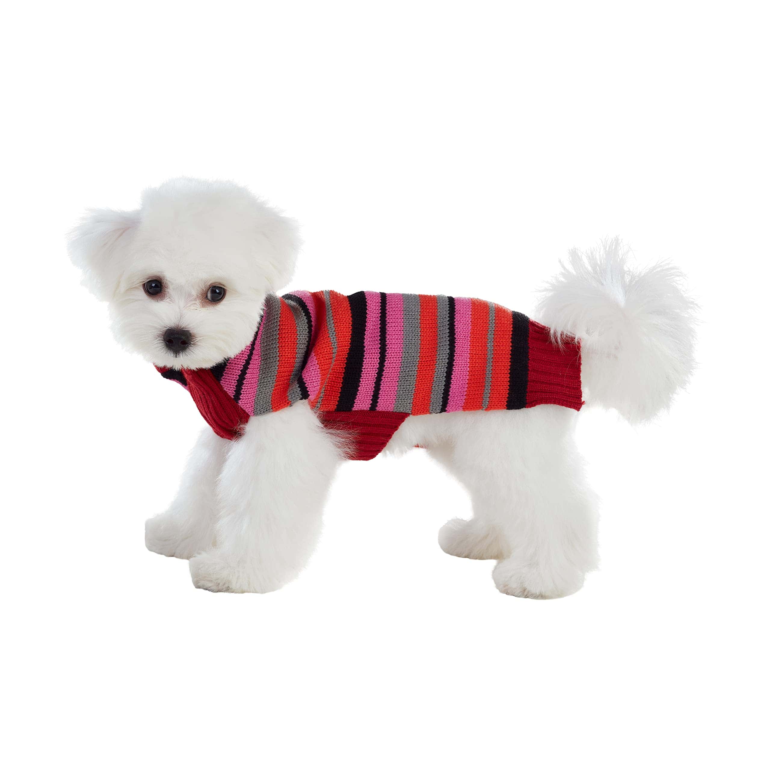 Suéter para Perros Best Furry Friends, Rayas de Arándano,