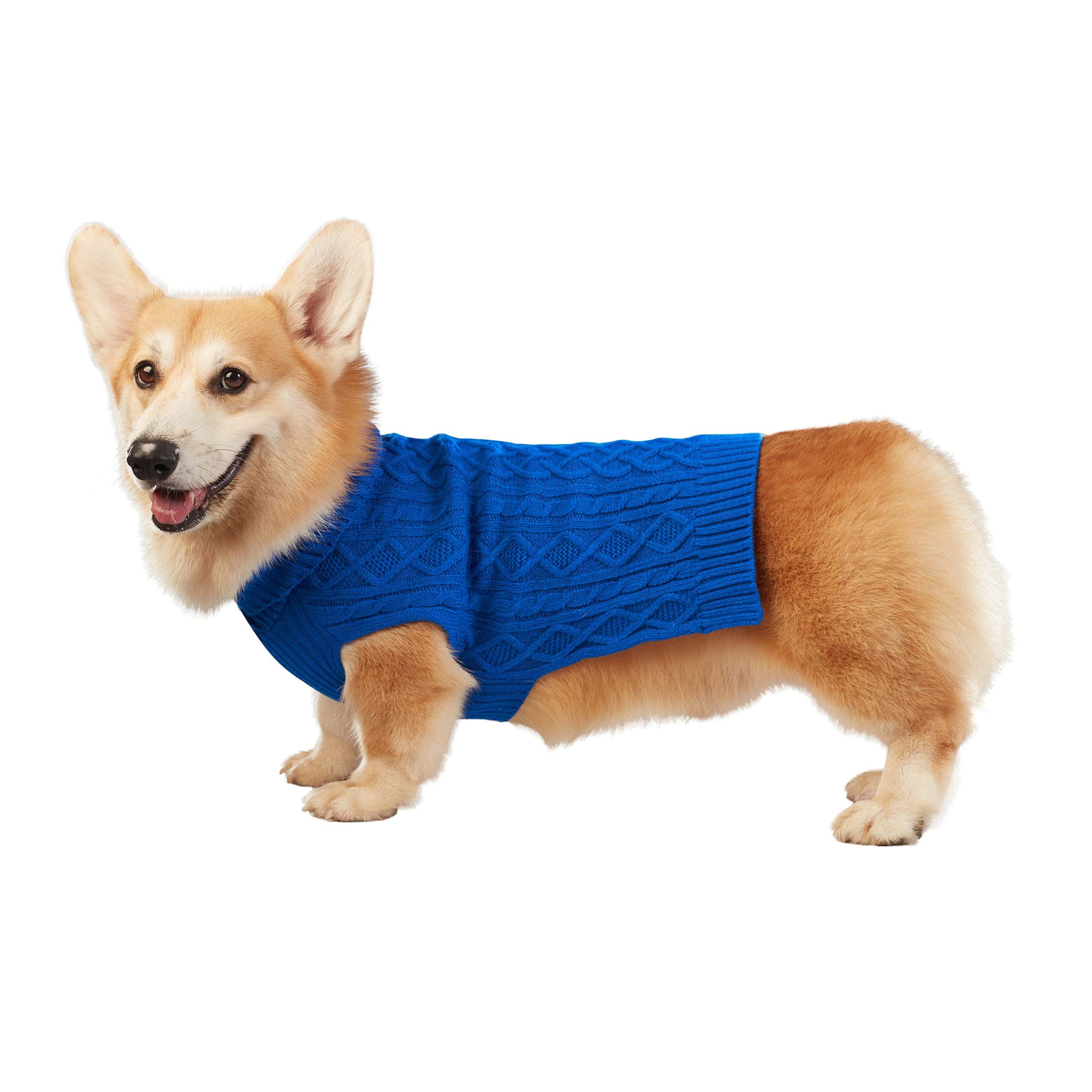 Suéter de Cuello Alto para Perros Best Furry Friends, Azul,