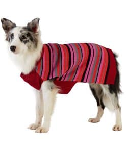 Suéter para Perros Best Furry Friends, Rayas de Color
