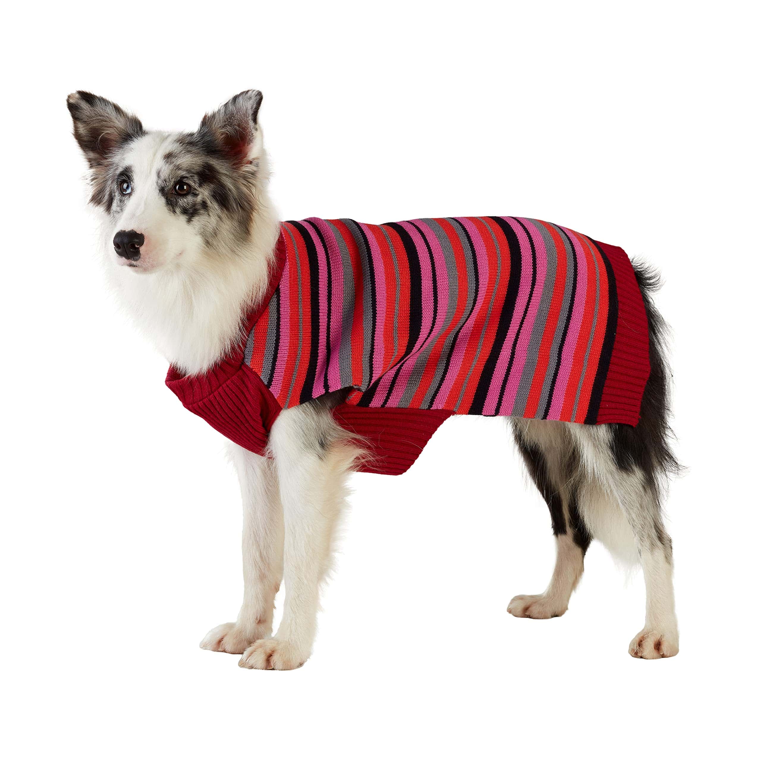Suéter para Perros Best Furry Friends, Rayas de Color