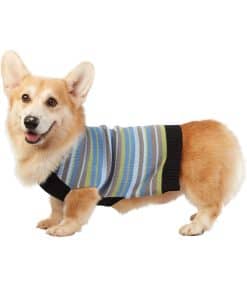 Suéter de Mejores Amigos Peludos para Perros, Rayas de