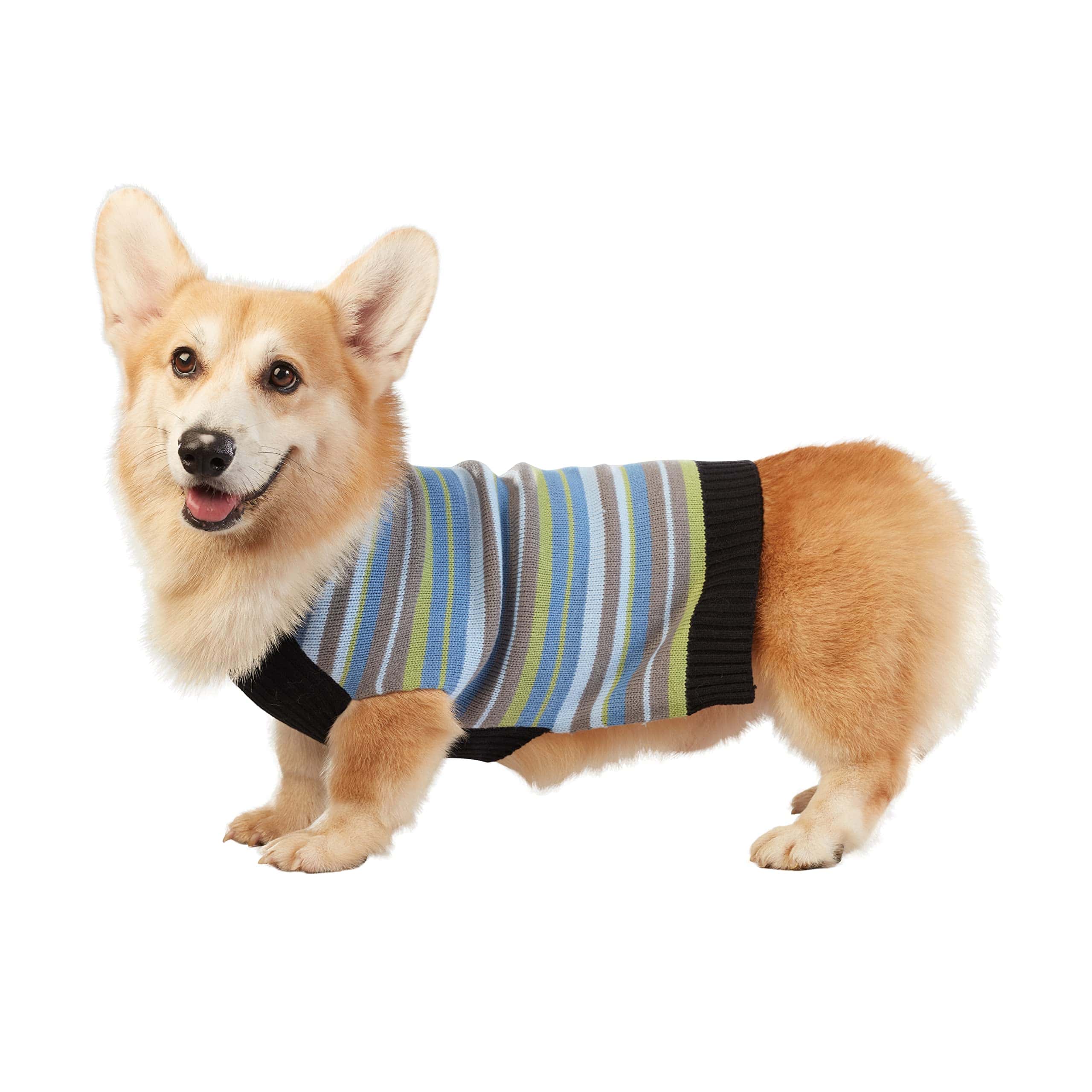 Suéter de Mejores Amigos Peludos para Perros, Rayas de