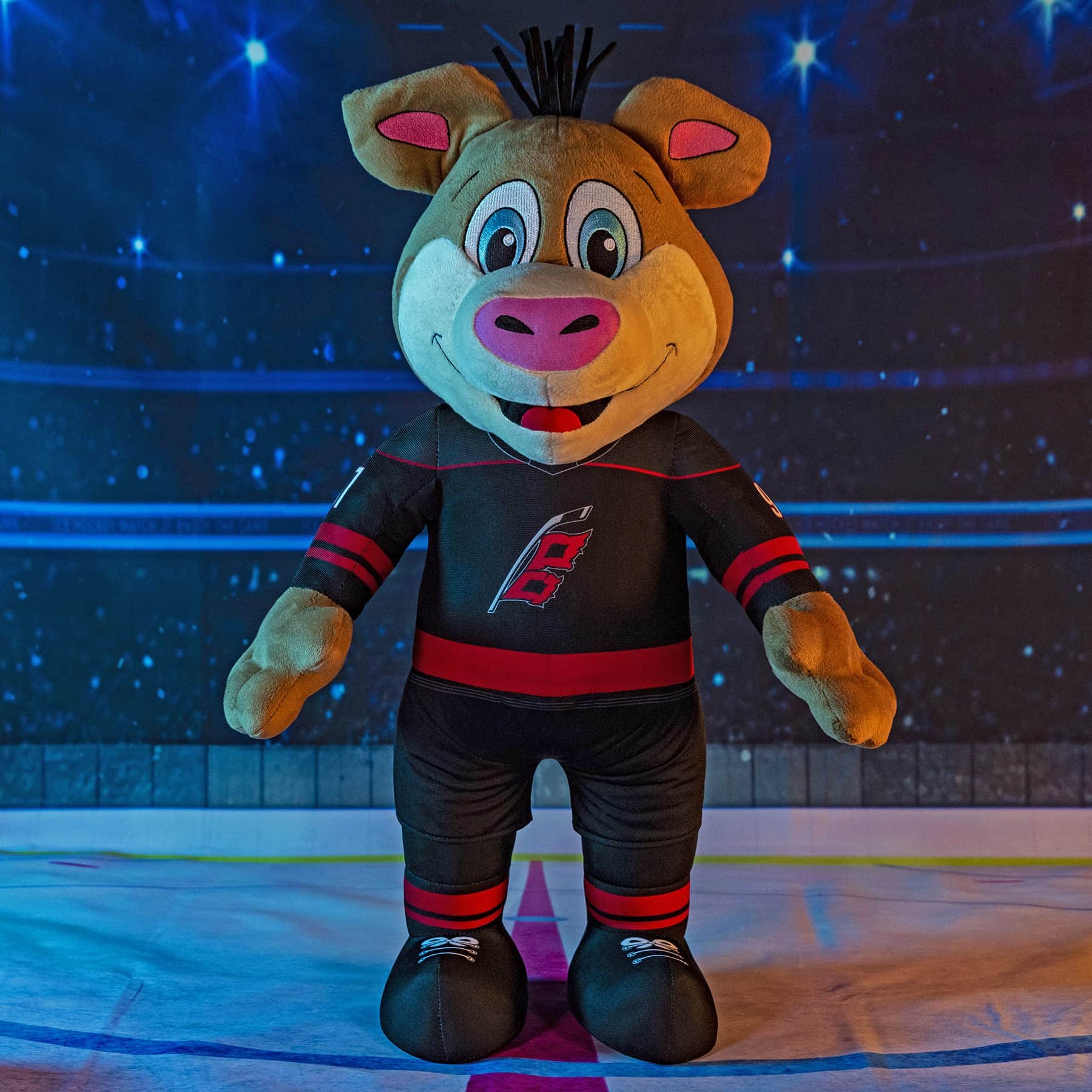 Peluche gigante de la mascota de Carolina Hurricanes Stormy - Imagen 7