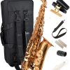 Saxofón Herche Superior Alto Saxophone X3 | Instrumentos