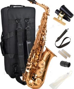 Saxofón Herche Superior Alto Saxophone X3 | Instrumentos