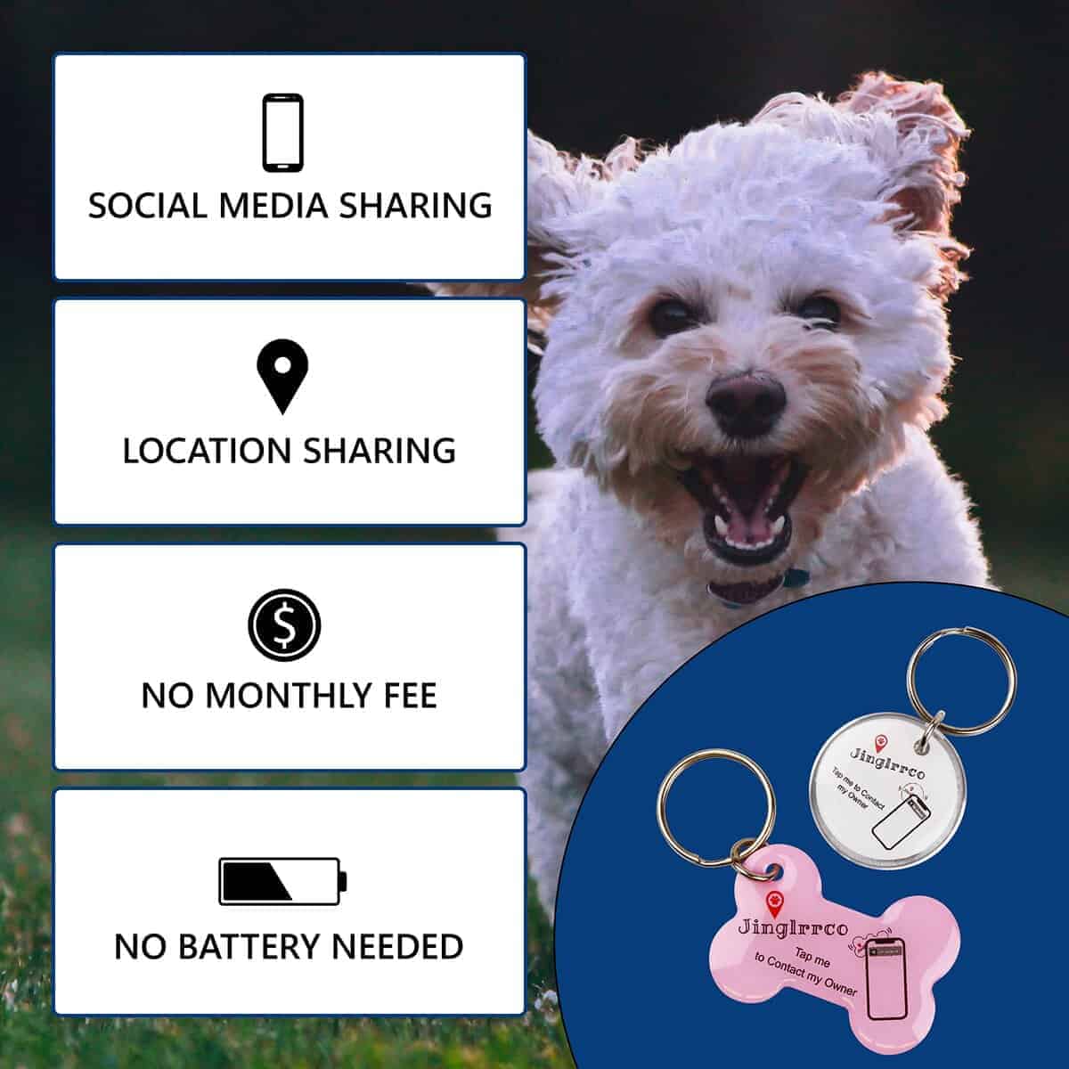 Etiquetas de identificación para mascotas inteligentes e - Imagen 6