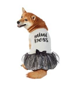 Vestido de Mejores Amigos Peludos para Perros, Mini Jefe,