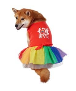 Vestido para Perros Best Furry Friends, Love is Love, Talla