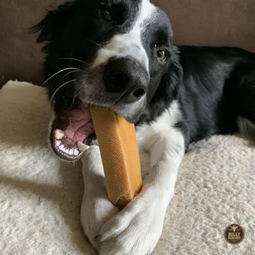 Mega Auténticos Himalayan Chews de Queso de Yak para Perros - Imagen 7