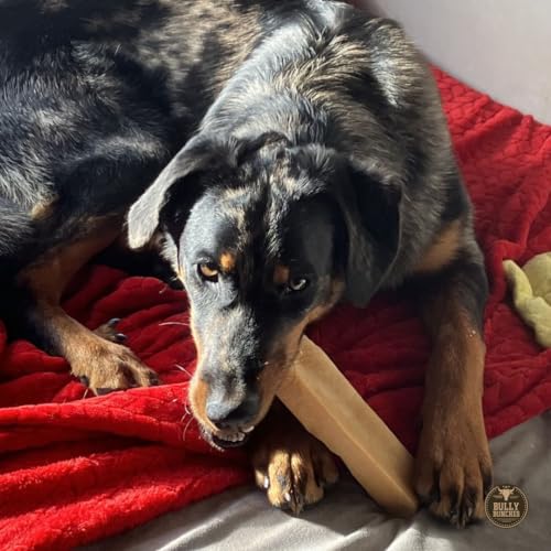 Mega Auténticos Himalayan Chews de Queso de Yak para Perros - Imagen 5