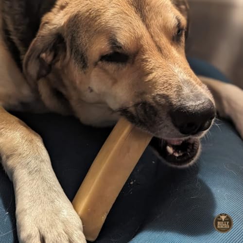 Mega Auténticos Himalayan Chews de Queso de Yak para Perros - Imagen 9