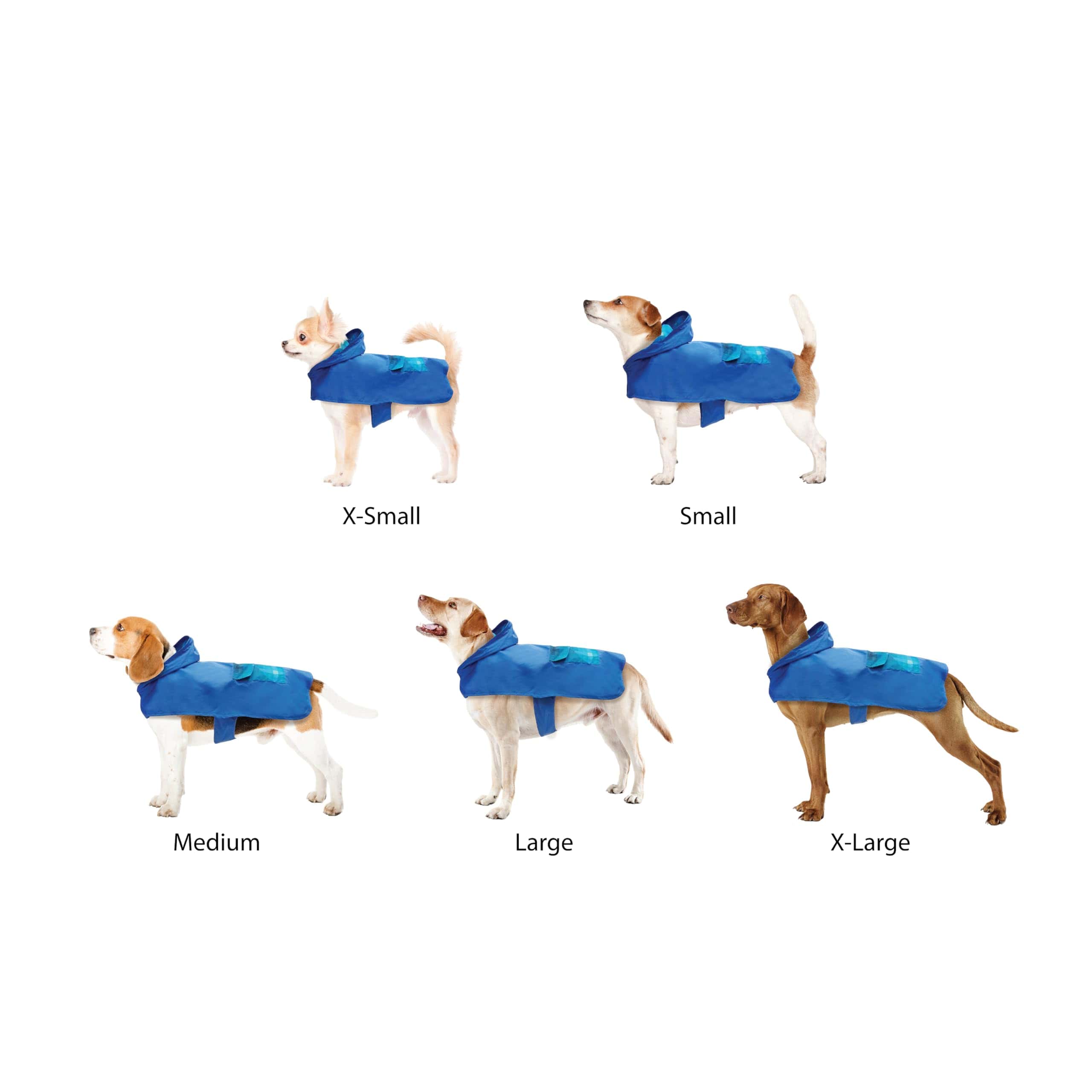 Impermeable gráfico Best Furry Friends para perros, Azul - Imagen 6
