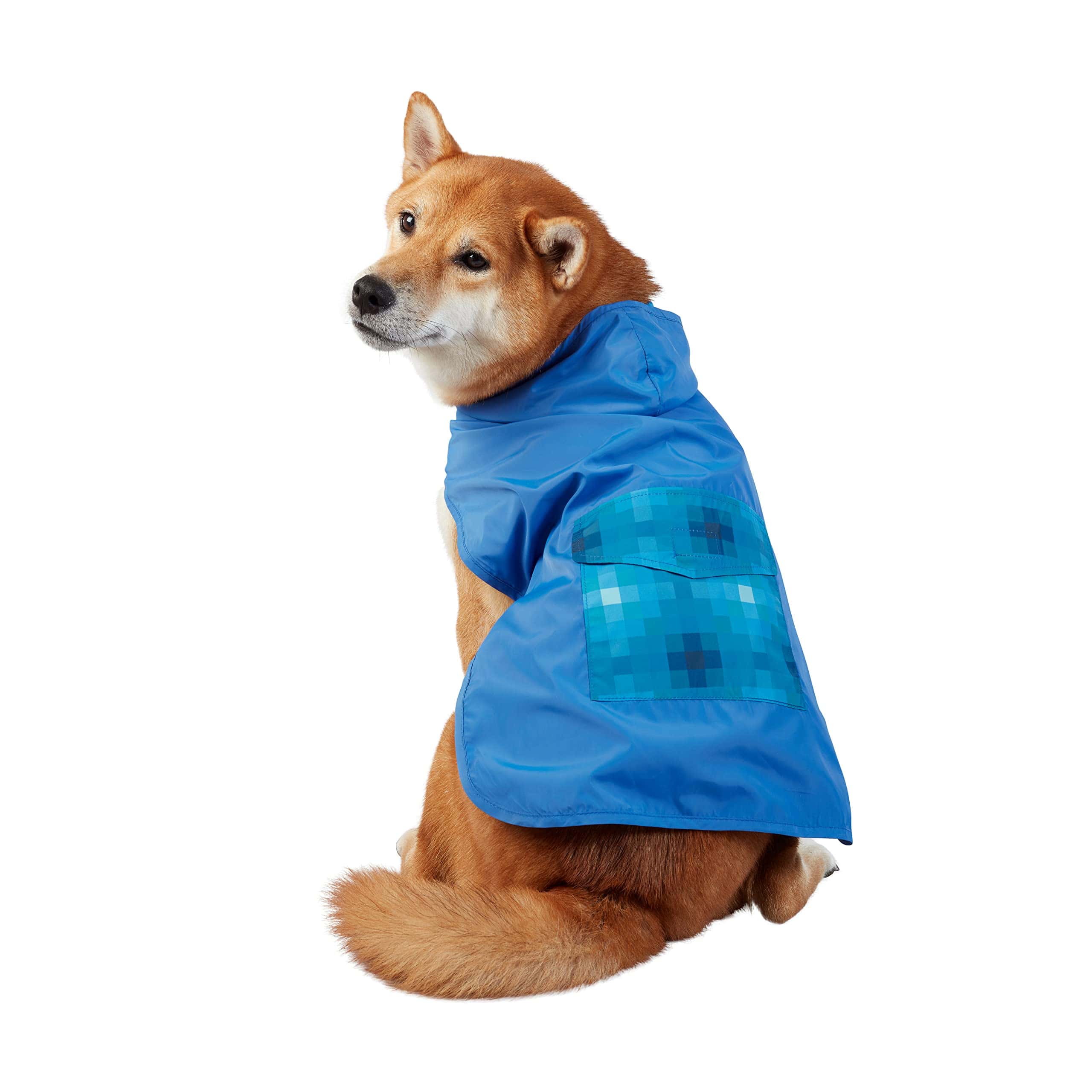 Impermeable gráfico Best Furry Friends para perros, Azul