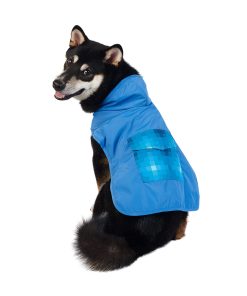 Impermeable gráfico Best Furry Friends para perros, Azul