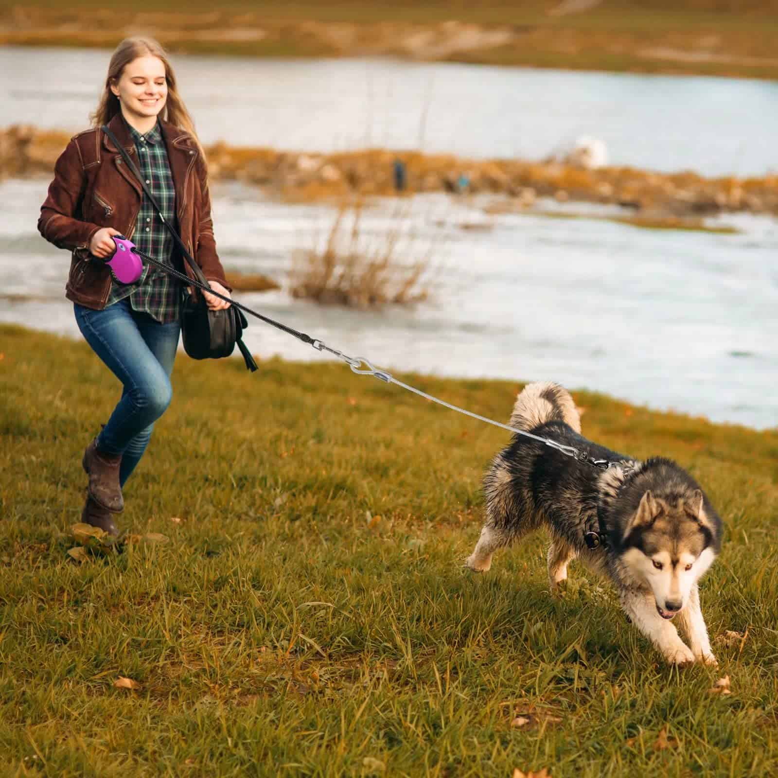 CROWN PAWS 16ft Correa retráctil para perros grandes de - Imagen 7