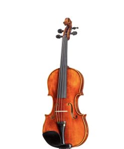 Violín D Z Strad Modelo 400 Antiguo Claro 4/4 Abierto