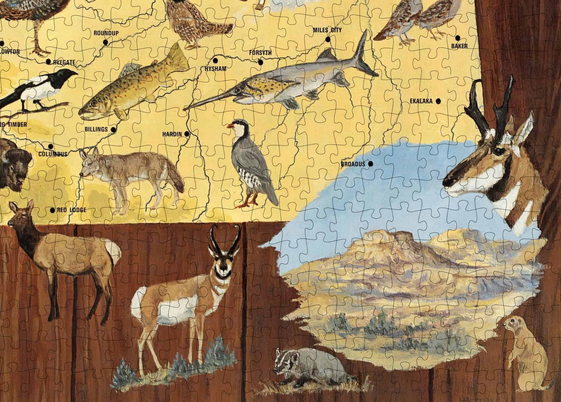 Rompecabezas de 1000 piezas | 1967 | Mapa Pictórico - Imagen 8