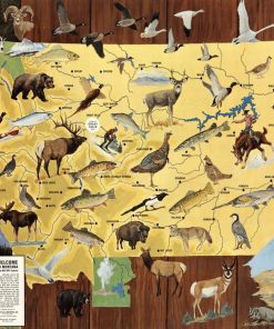 Rompecabezas de 1000 piezas | 1967 | Mapa Pictórico