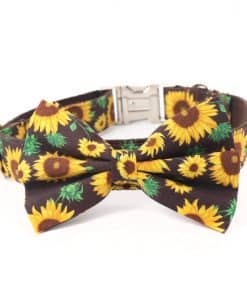 Collar de Perro con Girasol y Moño, Collar para Perros