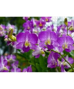 Rompecabezas de 1000 Piezas para Adultos y Niños - Flor de