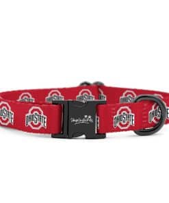 Collares y Correas de Ohio State Buckeyes | Oficialmente