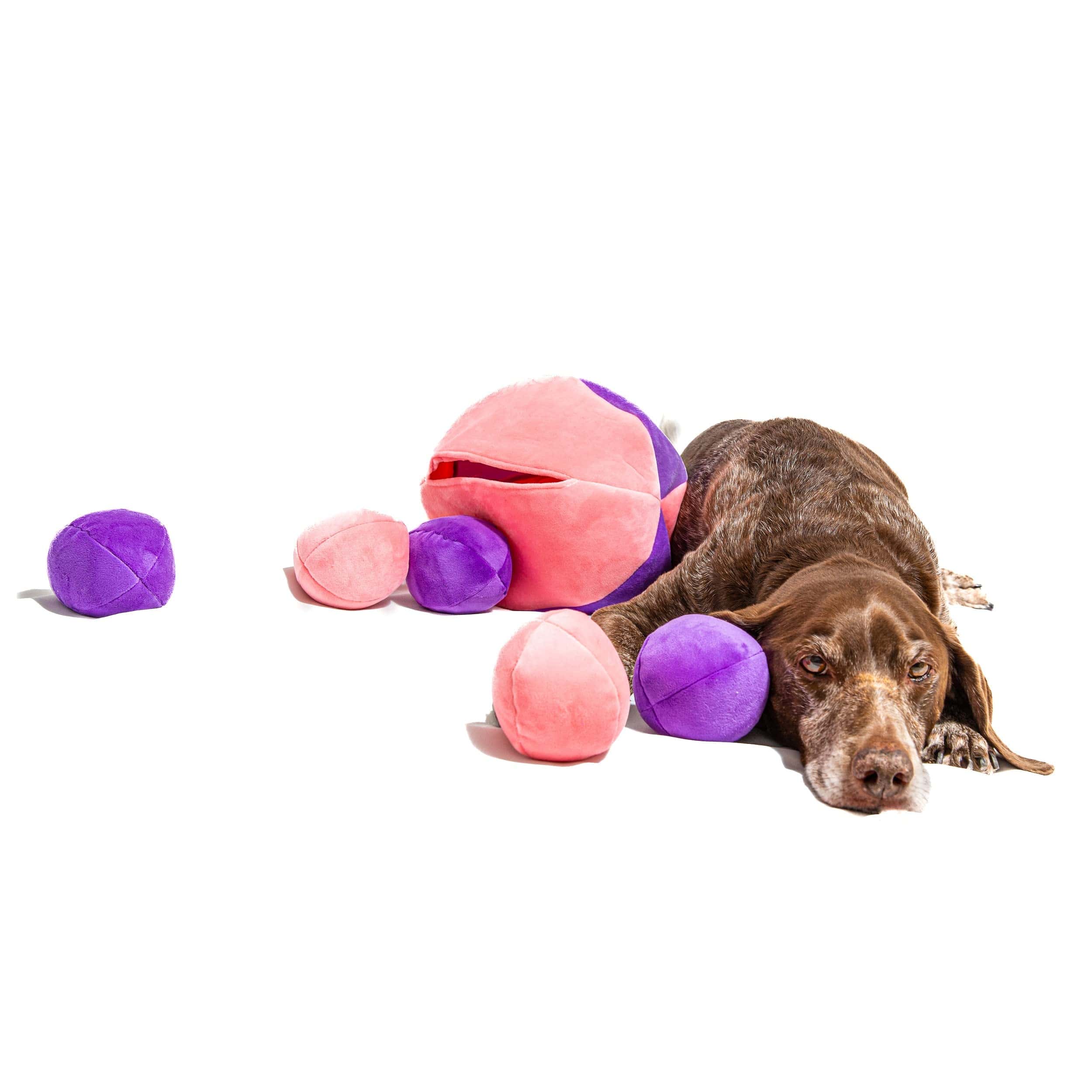 Juguete para Perros Midlee Hide a Ball - Rosa/Morado - Imagen 8