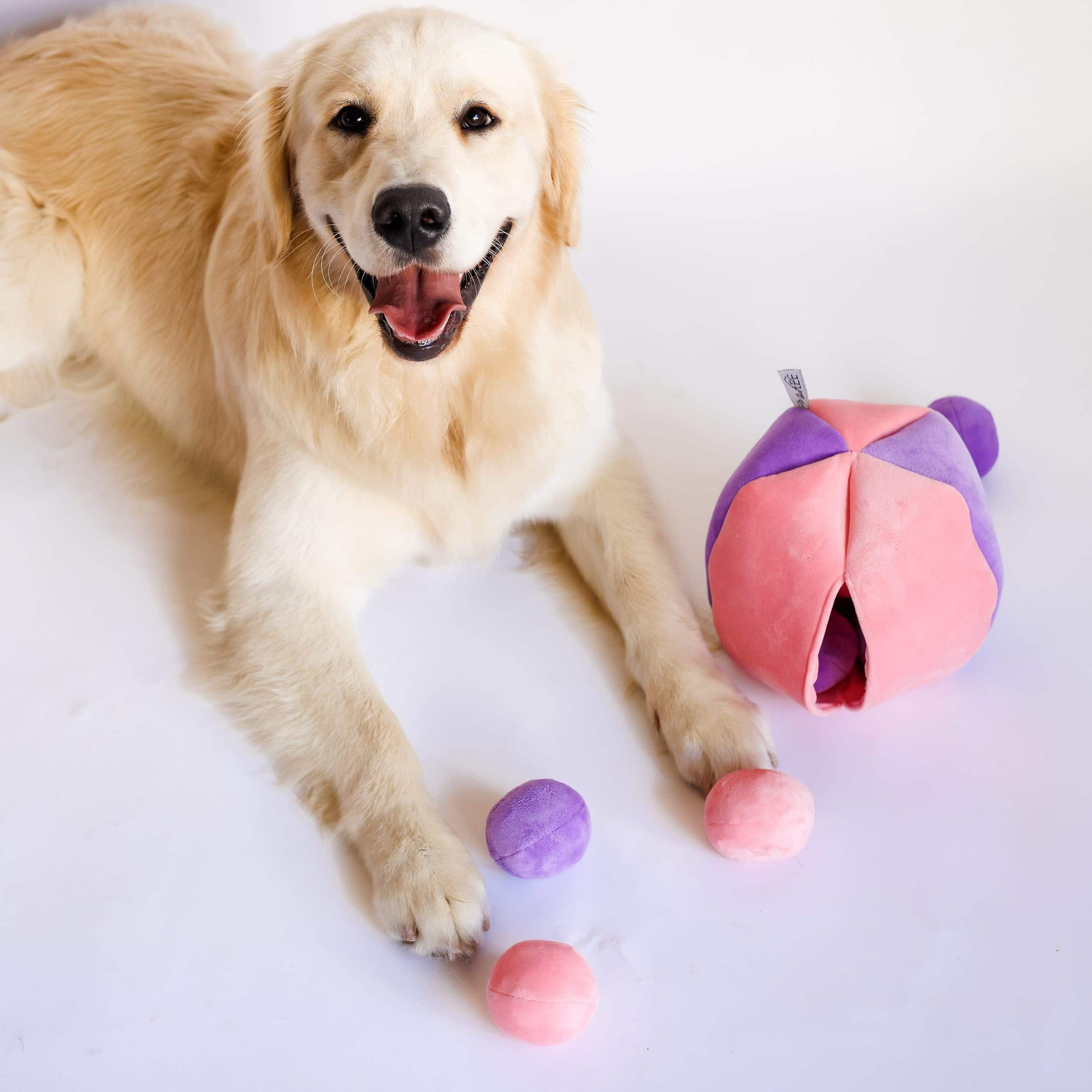 Juguete para Perros Midlee Hide a Ball - Rosa/Morado - Imagen 5