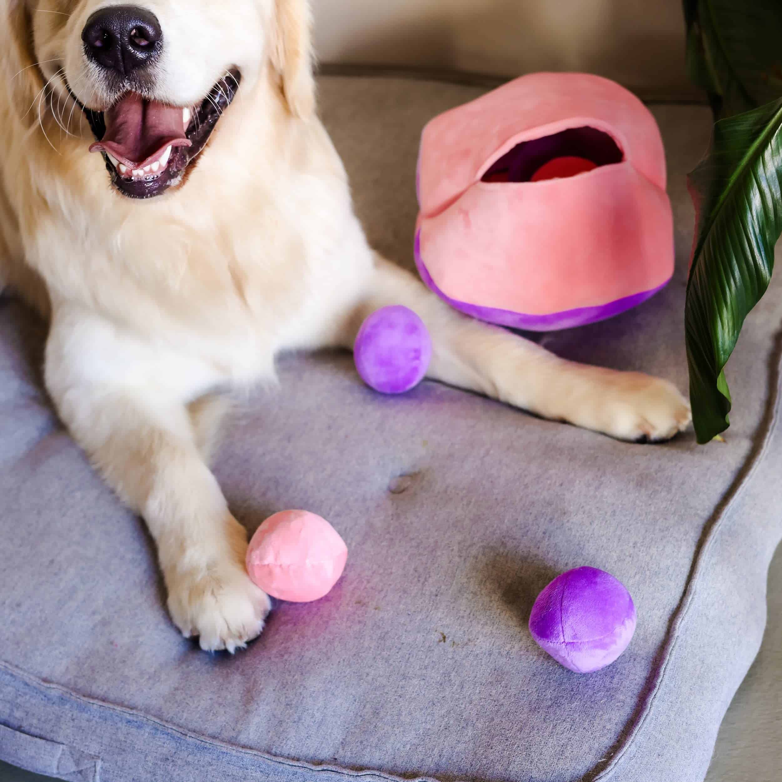 Juguete para Perros Midlee Hide a Ball - Rosa/Morado - Imagen 4
