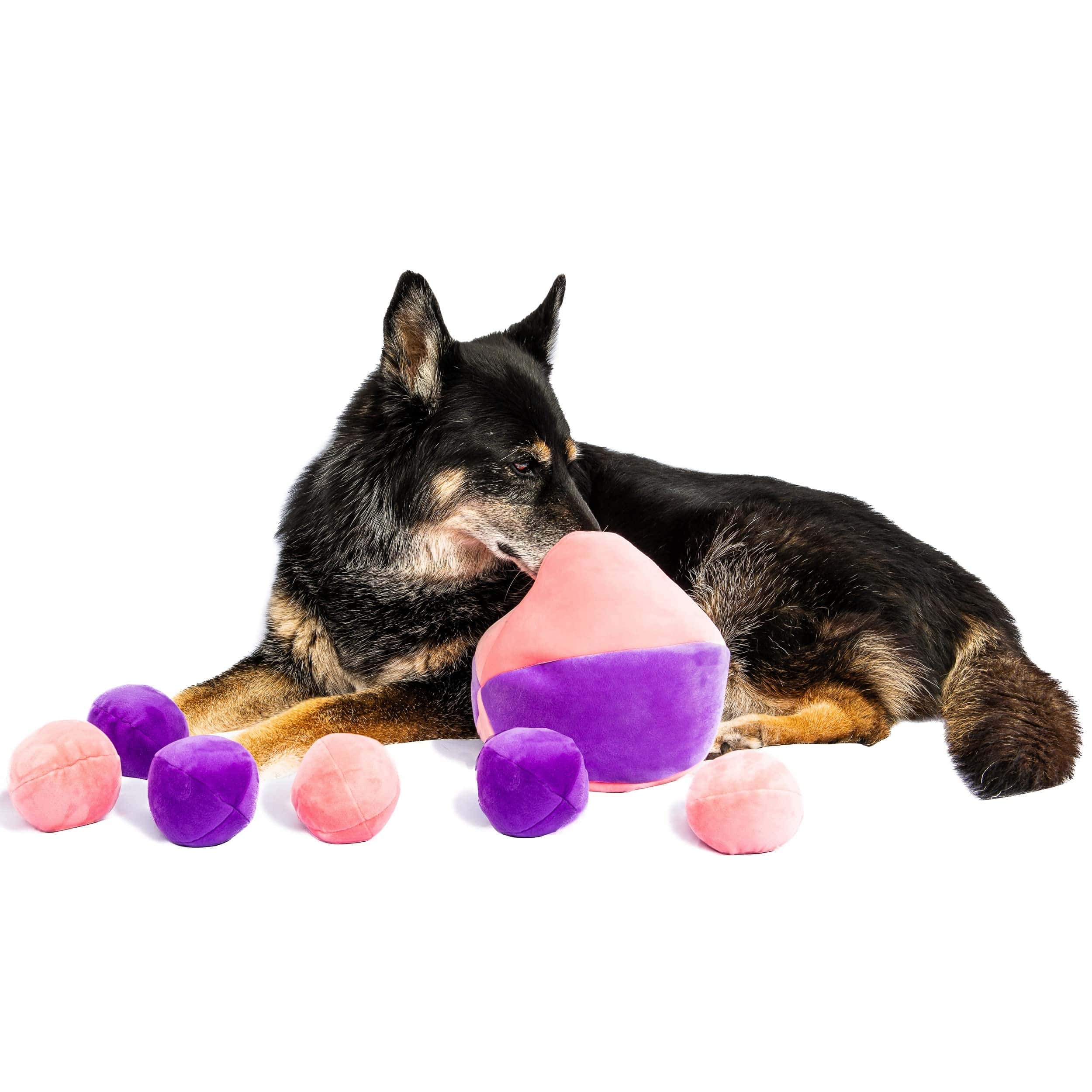Juguete para Perros Midlee Hide a Ball - Rosa/Morado - Imagen 3