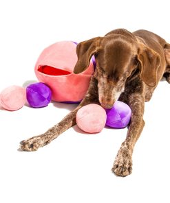 Juguete para Perros Midlee Hide a Ball - Rosa/Morado