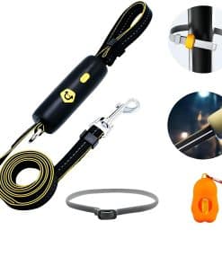 Correa de perro reflectante, correa de nailon de 5.2 pies