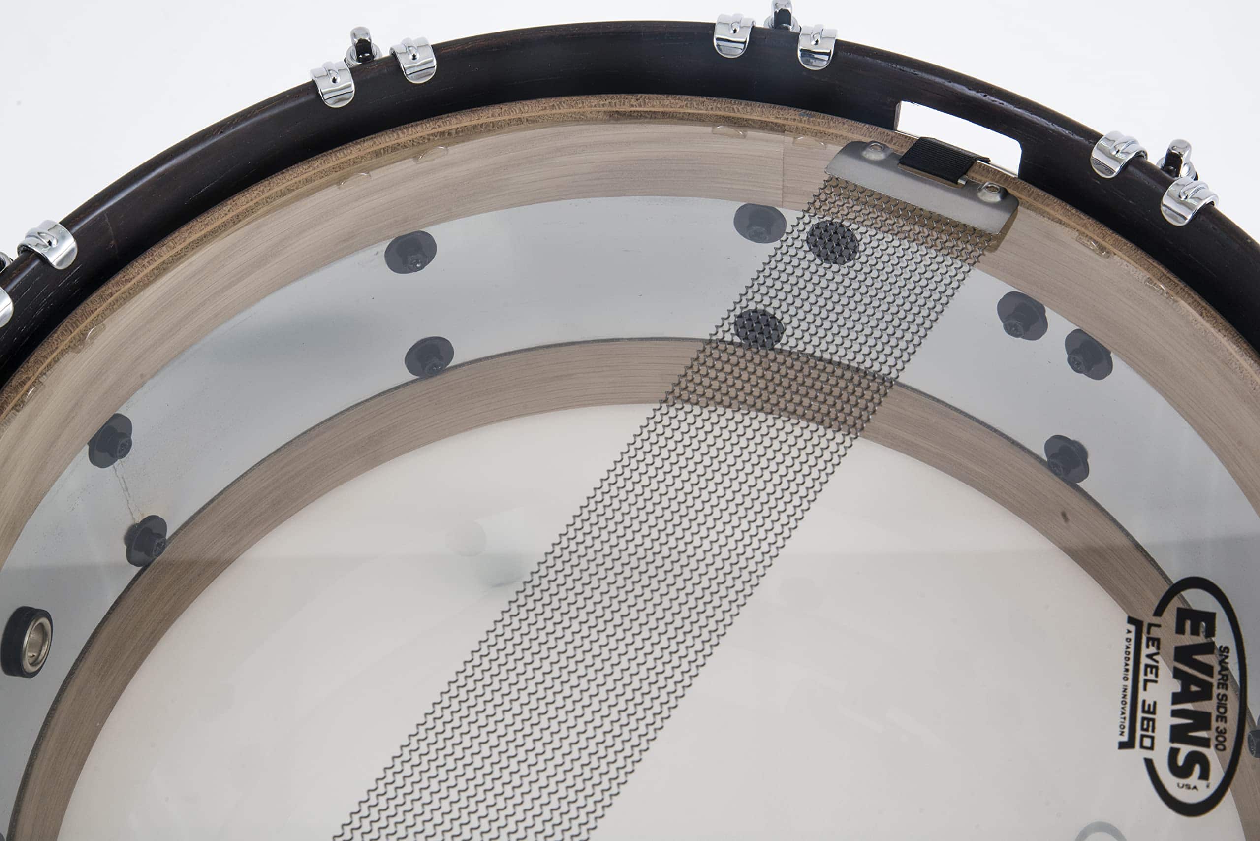 Dixon Tambor de Caja (PDSAN554EQ1) - Imagen 5